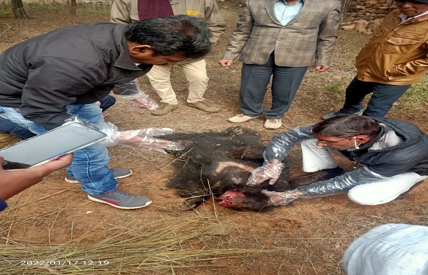 bhalu death in road accident