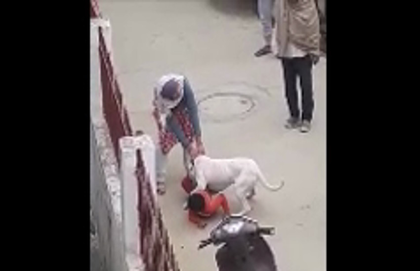 rottweiler-dog-attack-on-6-year-old-innocent-video-viral.jpg