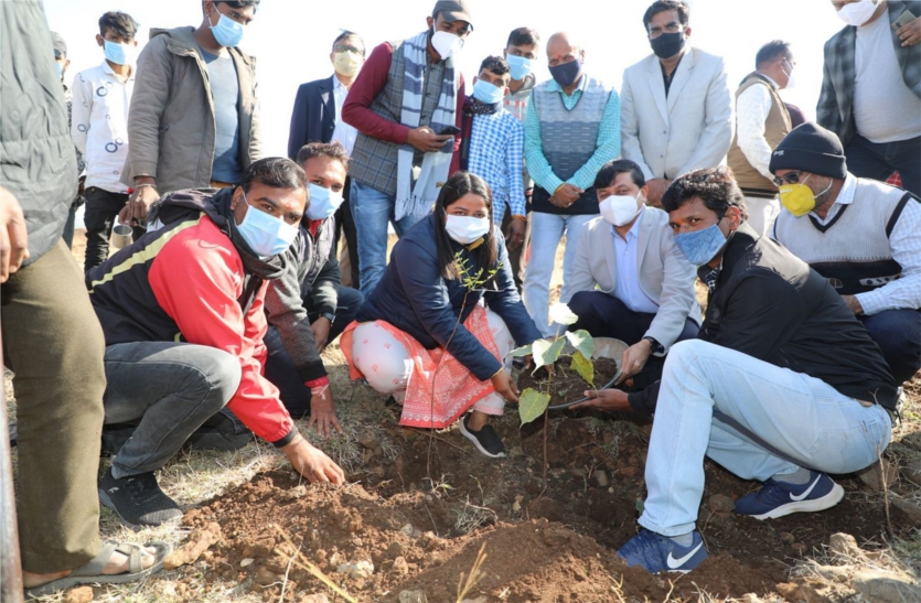 From the plantation drive associated with the mining