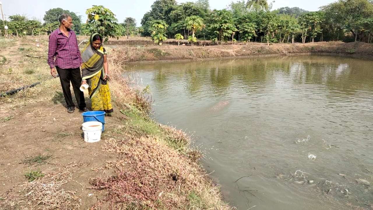 गीता बाई ने मछली पालन और जैविक खेती से बनाई पहचान
