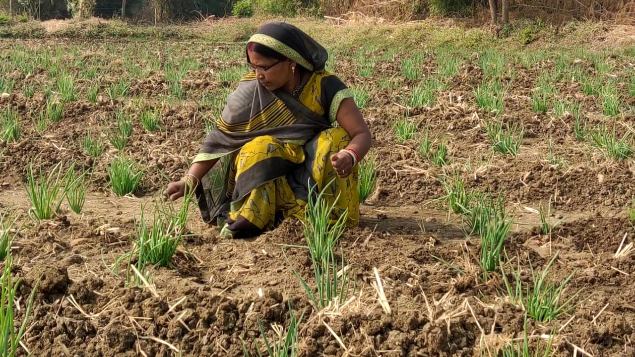 गीता बाई ने मछली पालन और जैविक खेती से बनाई पहचान