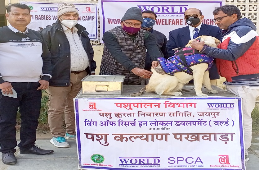बन्नी, शेरू, चार्ली, मेक्ष ने दोस्तों के संग लगवाए टीके