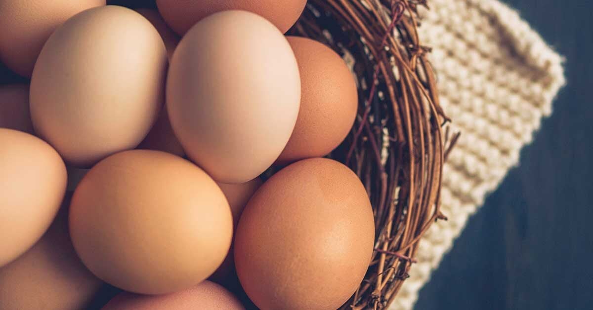 benefits of eating egg
