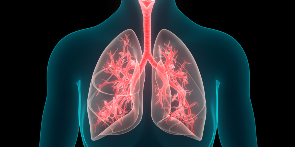 Main Function of The Respiratory System and Healthy Lungs Food