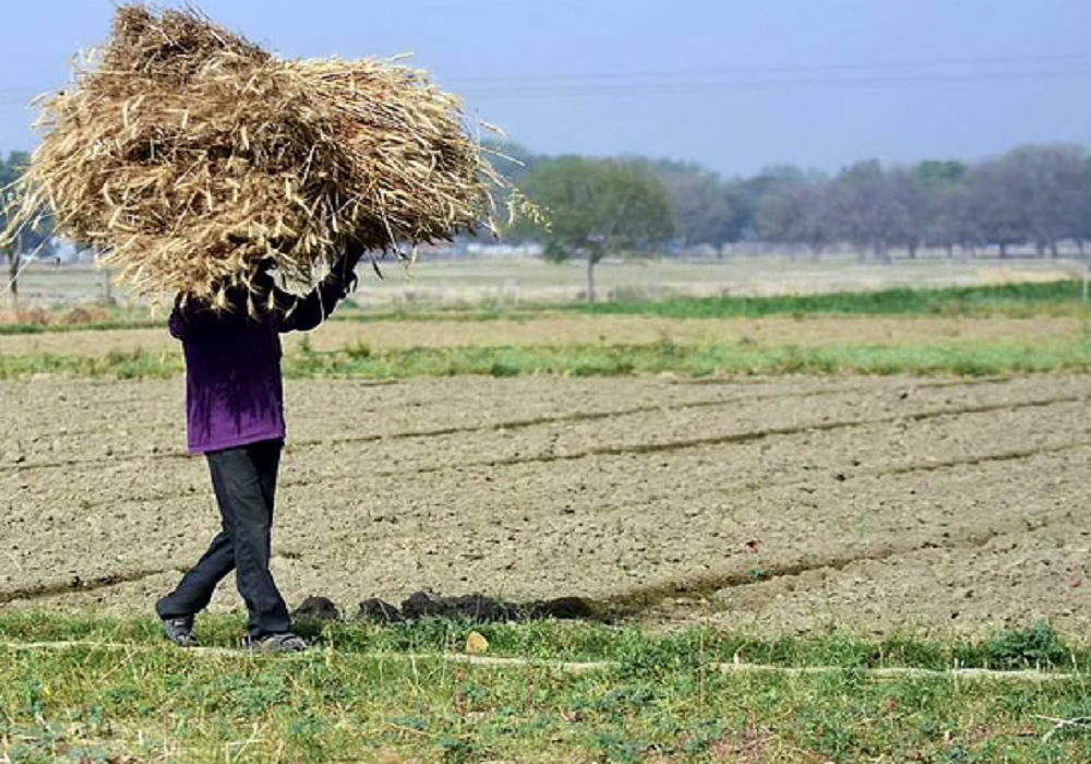 बजट 2022-23 में यूपी के किसानों को मोदी सरकार दे सकती है बड़ा तोहफा