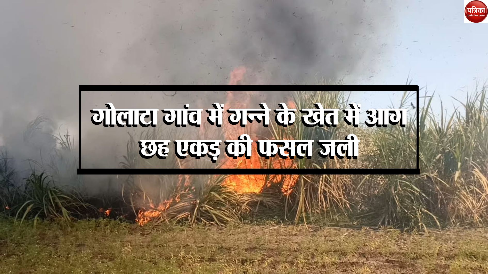 Sugarcane field caught fire in Golata village