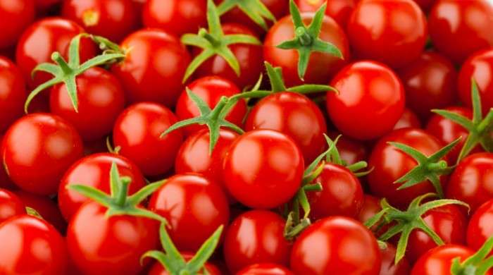 Cherry Tomato Health Benefits In Hindi