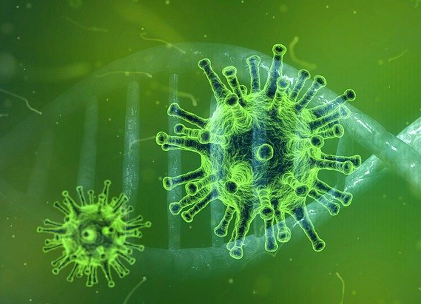 corona_virus.jpg