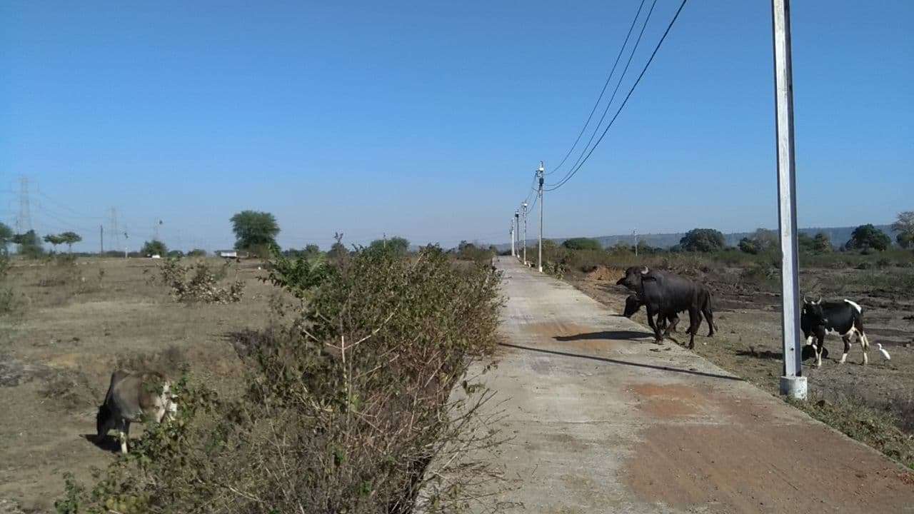 village Khamaria near Gaur,jabalpur