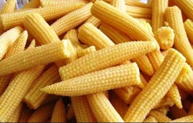 baby-corn-syngenta.jpg