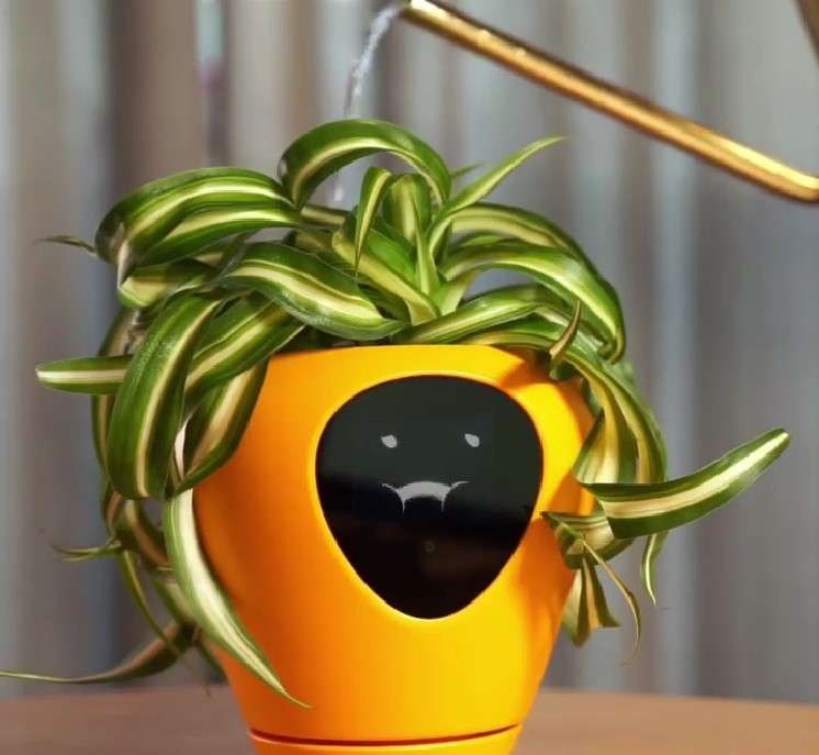 Smart pot will tell you if your plant is happy or not