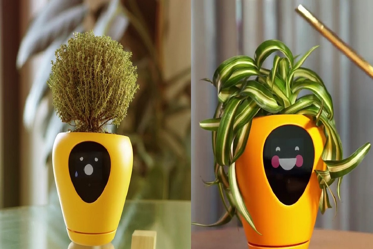 Smart pot will tell you if your plant is happy or not