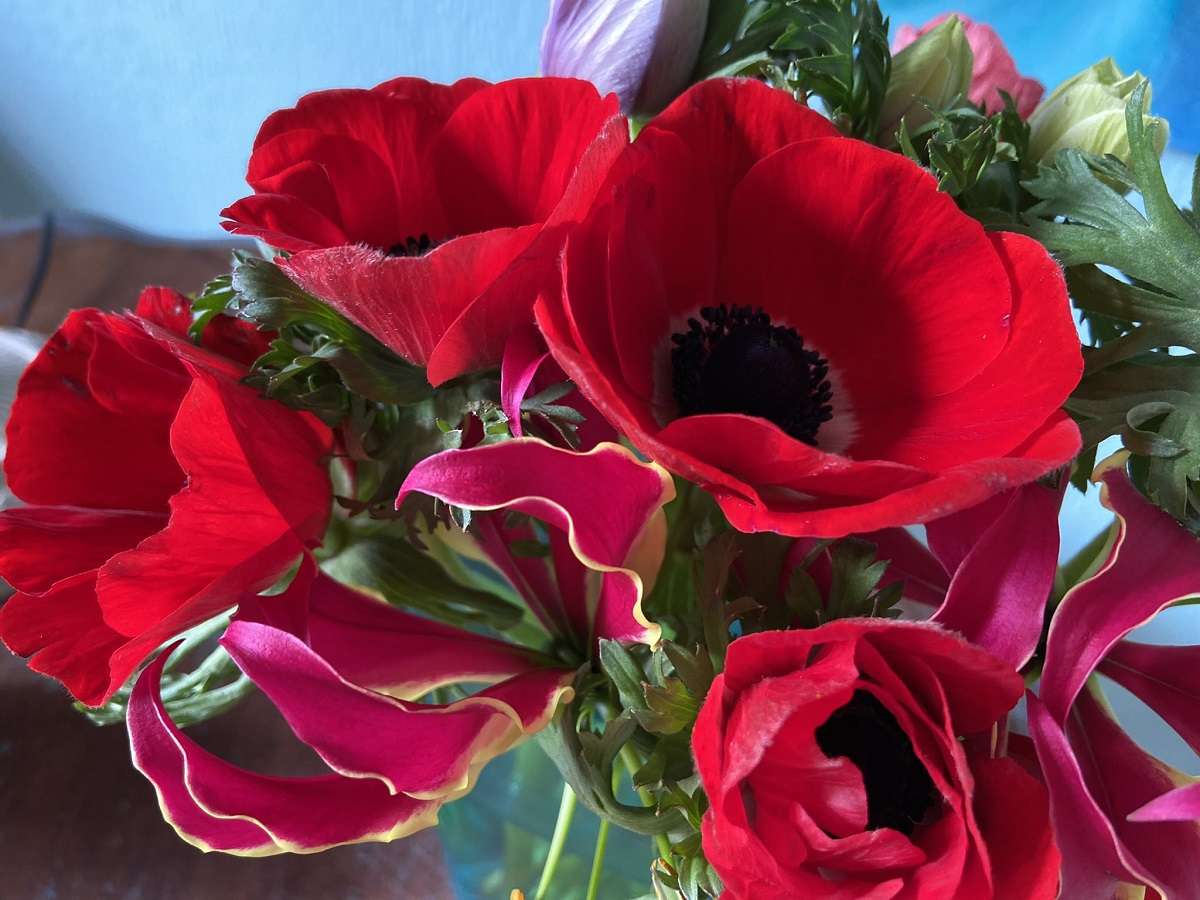 phool.jpg
