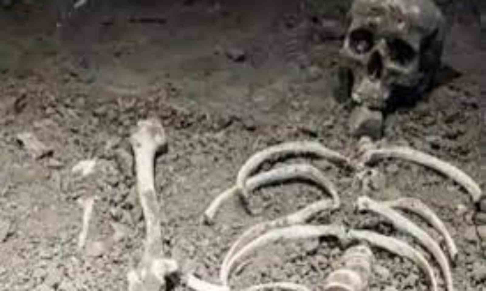 Himachal Pradesh High Court Retired Person Skeleton Found In House 