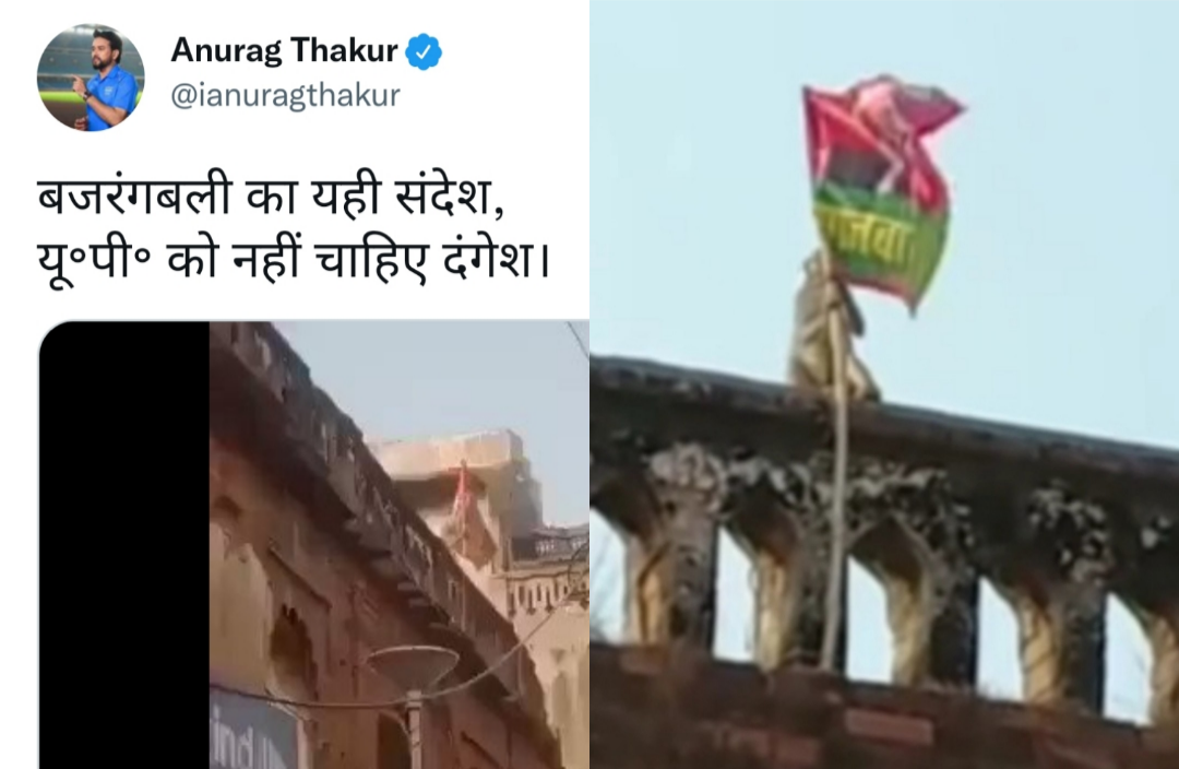 अयोध्या में बंदर ने उतारा सपा का झंडा वीडियो वायरल : केंद्रीय मंत्री अनुराग ठाकुर ने ट्वीट कर लिखा यूपी को नहीं चाहिए दंगेश