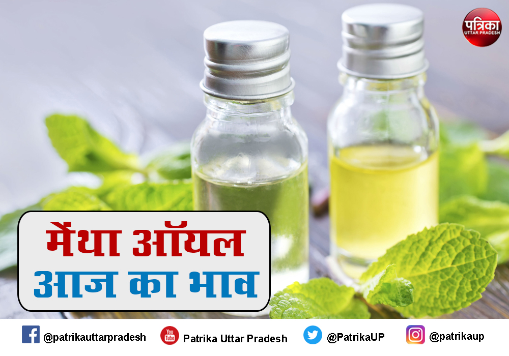 Mentha Oil Rate Mentha Oil Price Mint Oil Price Today 24