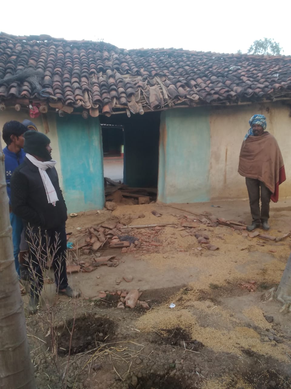 Elephant rage in rural areas, damage to the crops of the bari along wi