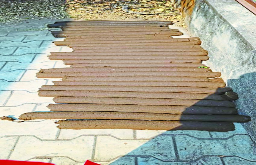 गोठान में बने गोकाष्ठ से होगा होलिका दहन, 13 हजार रुपए से अधिक गोकाष्ठ की हो चुकी है एडवांस बुकिंग