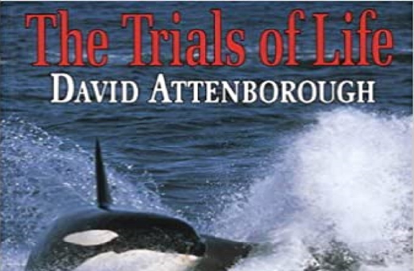 David Attenborough's 'Trials of Life'