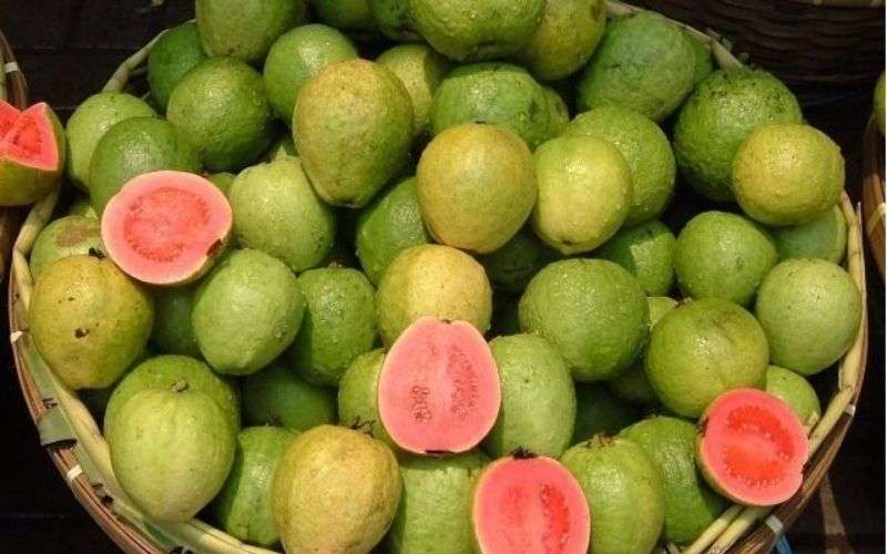 amazing_health_benefits_of_eating_raw_guava.jpg