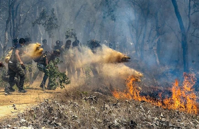 fire at bandipur tiger reserve