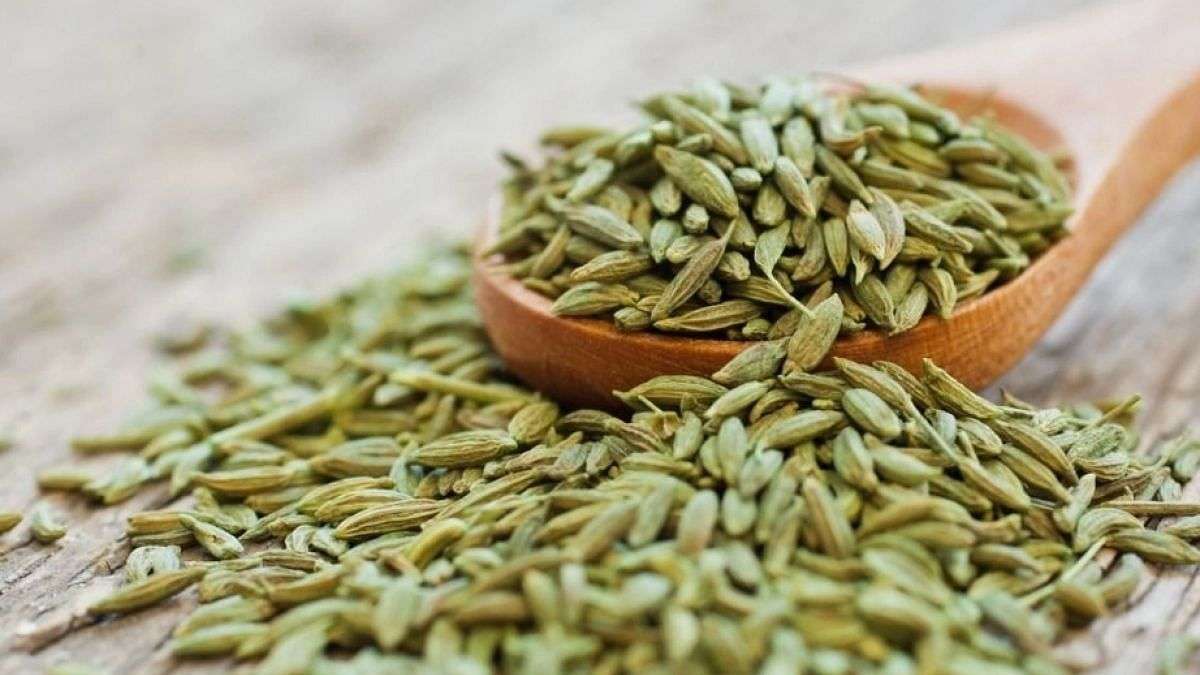 thequint-fit_2019-06_622d7d12-e292-4a3e-b819-784e8542ef38_fennel.jpg