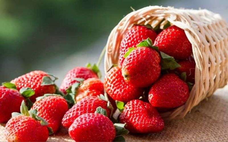strawberry_benefits_in_pregnancy.jpg