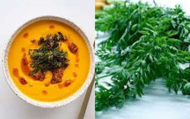 carrot_leaves__soup.jpg