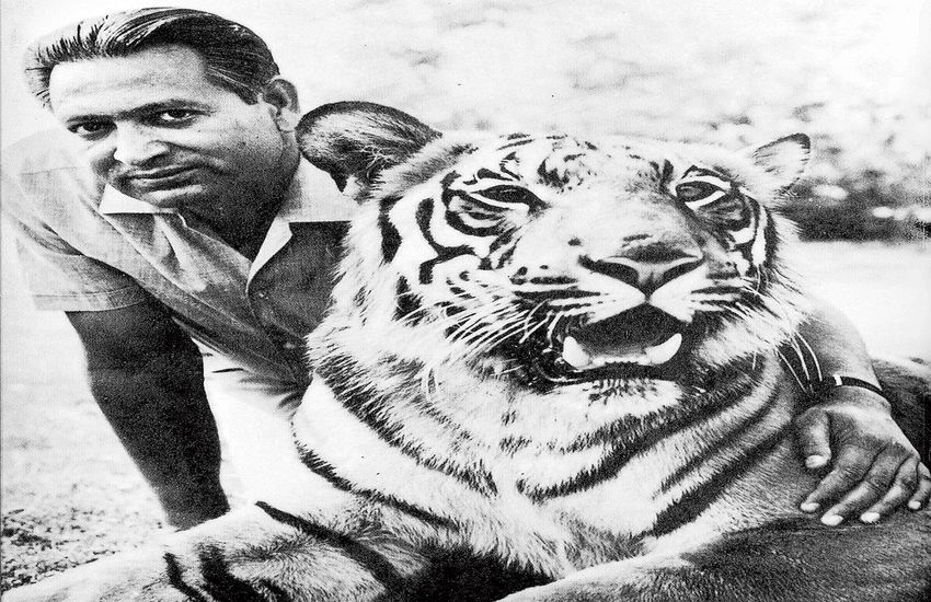 टाइगर मैन ऑफ इंडिया, जिनकी प्लानिंग से देश में बच पाए Tiger