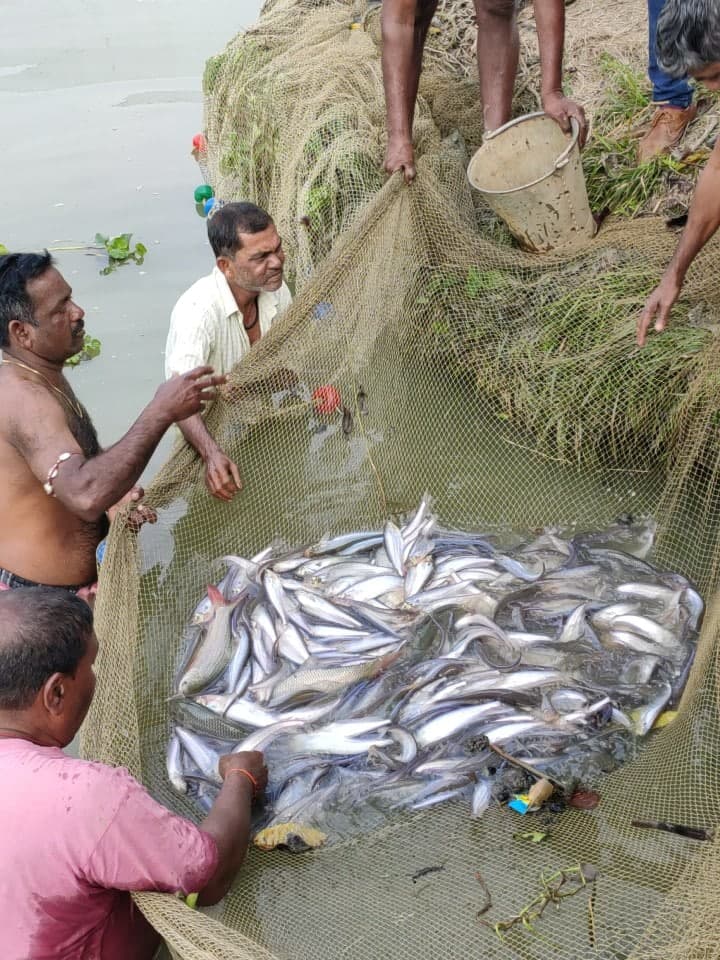 जिले में दर्ज नहीं है मछुआरों की संख्या, अब होगा सर्वे, किसानों की तरह मिलेंगे केसीसी
