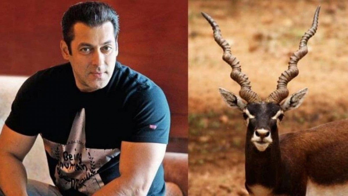 Blackbuck Poaching Case में Salman Khan को बड़ी राहत, याचिकाओं पर अब होगी हाईकोर्ट में सुनवाई