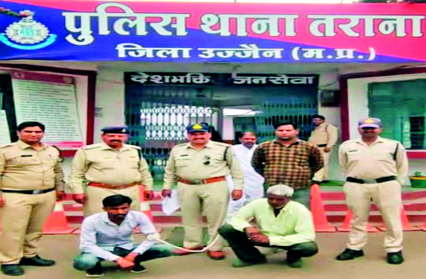 भैंस को मारी टक्कर तो उतार दिया मौत के घाट