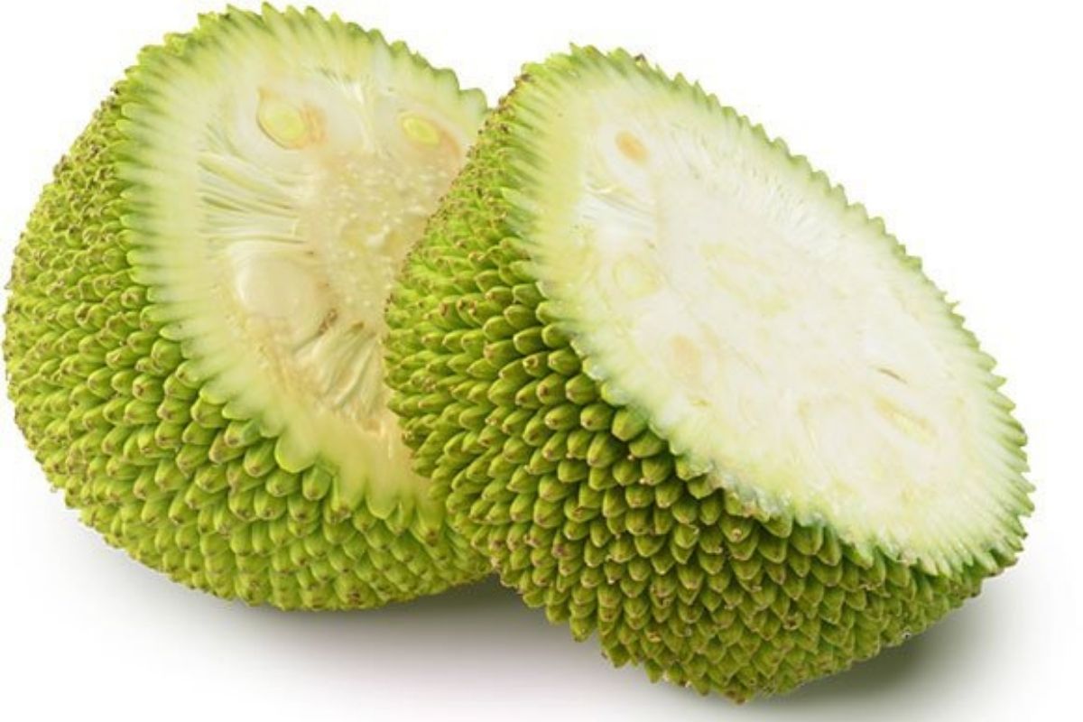 what_not_to_eat_with_jackfruit.jpg