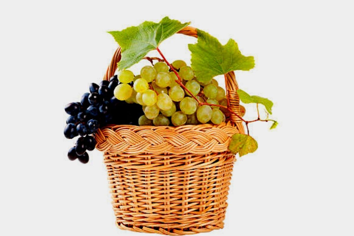 which_grapes_is_better_and_effective_black_or_green.jpg