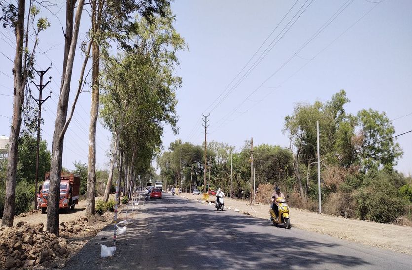 Indore News : अब नगर निगम में पेड़ों से बरसेगा पैसा