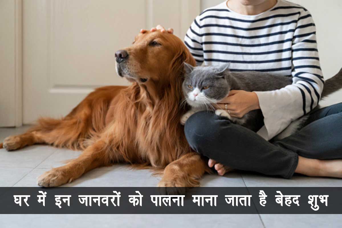 astrological tips for good health, prosperity, astrology tips for money in hindi, astrology tips for good luck, pet astrology dogs, कुत्ता, मछली, मेंढक, खरगोश, पालतू जानवर, ज्योतिष शास्त्र, सुख-समृद्धि, 