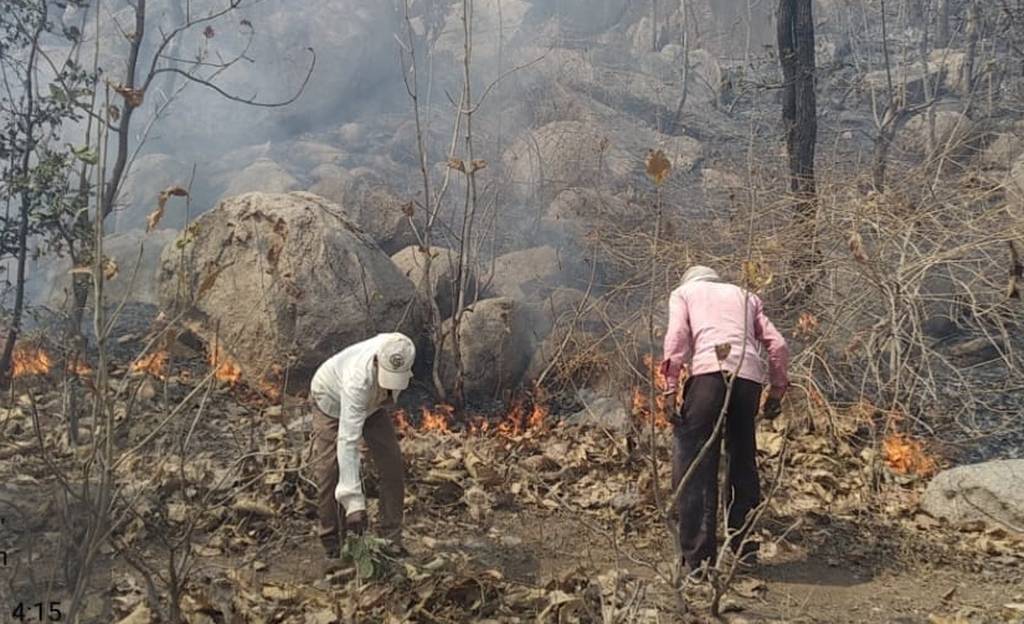 fire in jungle गर्मी बढ़ते ही दहकने लगे जंगल और खेत