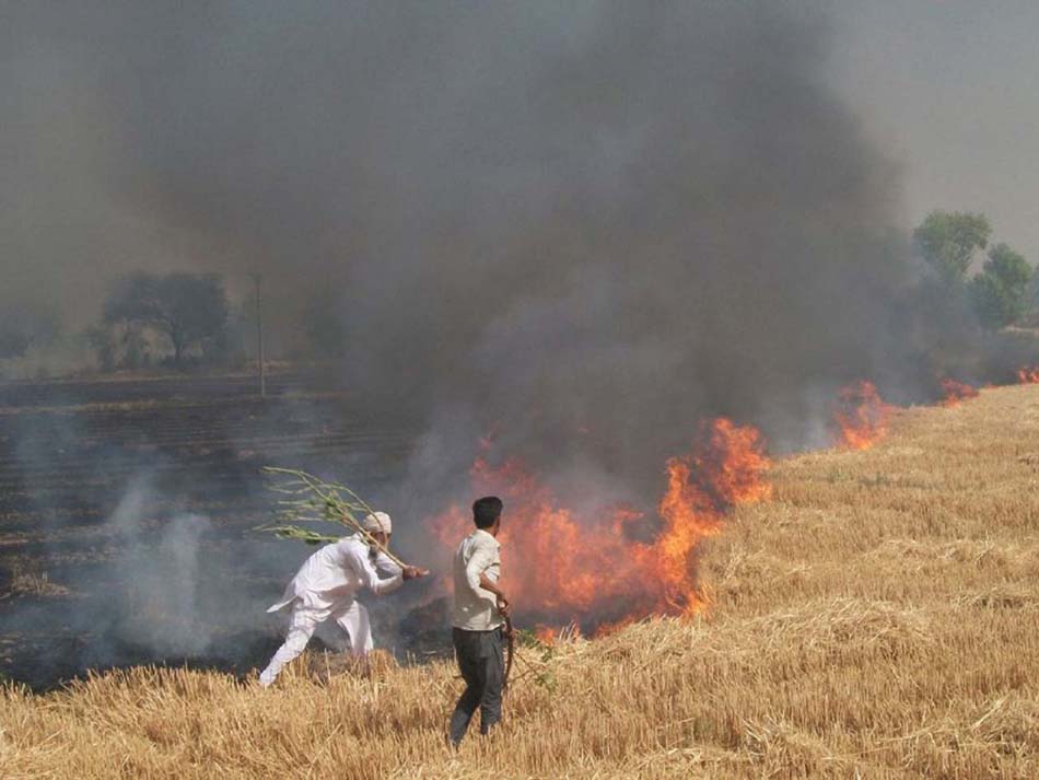 किसानों के काम ना कलक्टरी आई और ना ही मंत्राई