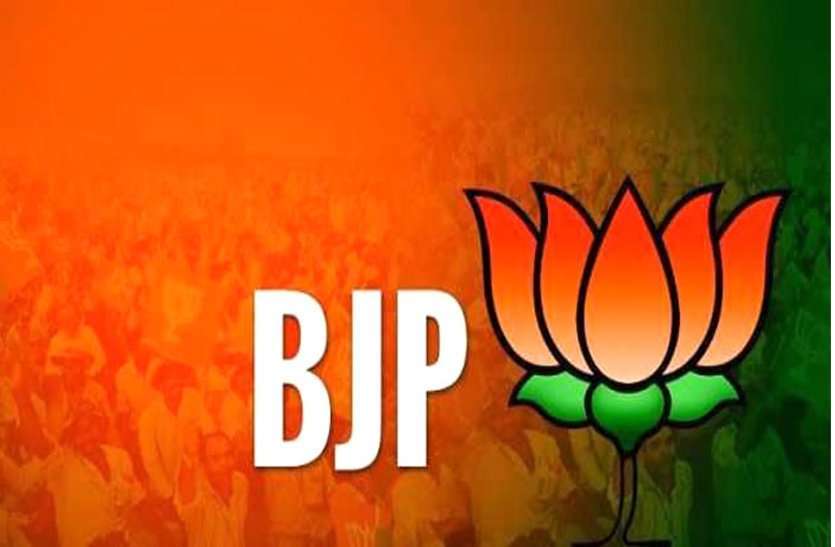 bjp_1_2.jpg