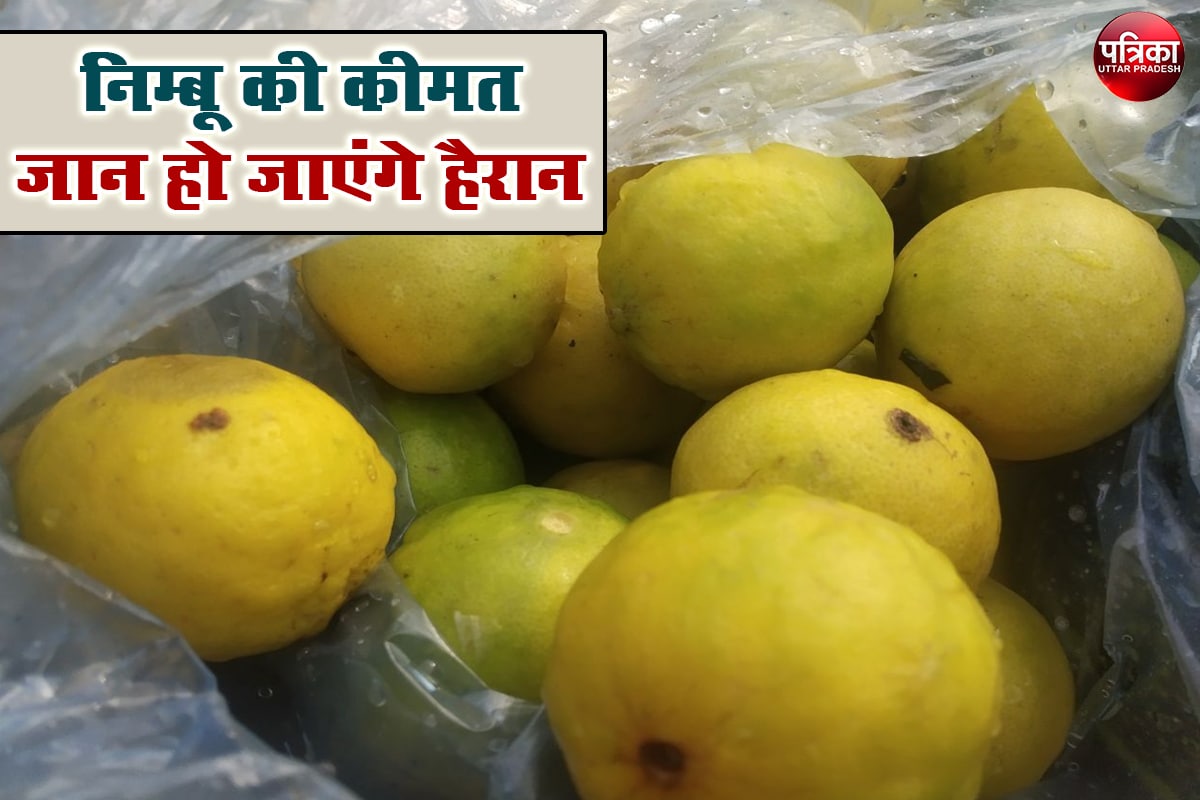 Price of Lemon : सलाद और रसोई से गायब हुआ नींबू, कीमत पहुंची 300 रुपये प्रति किलोग्राम के पार