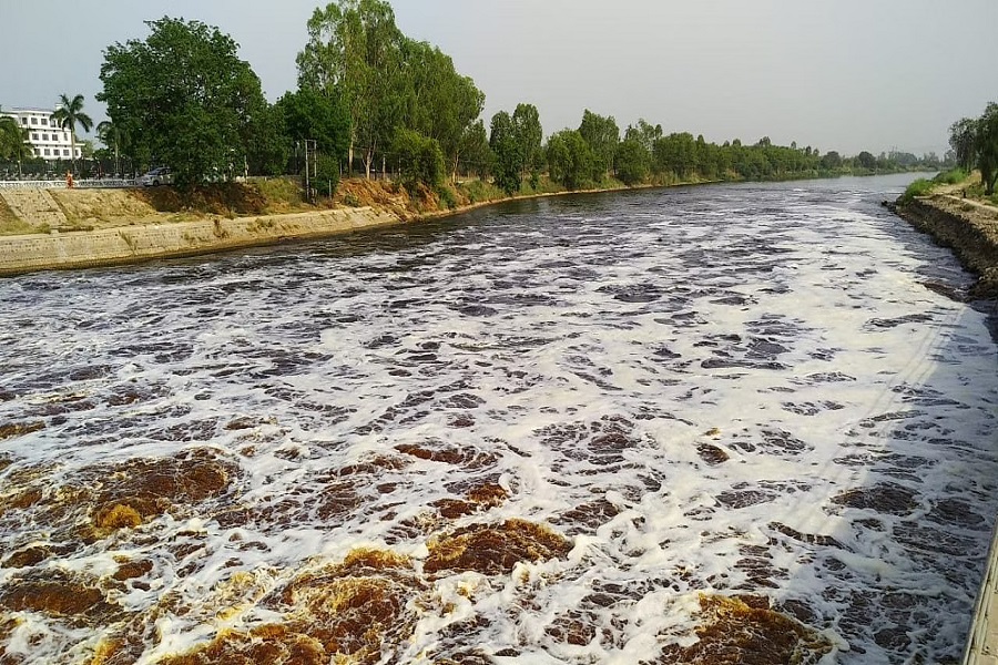 contaminated water in canals