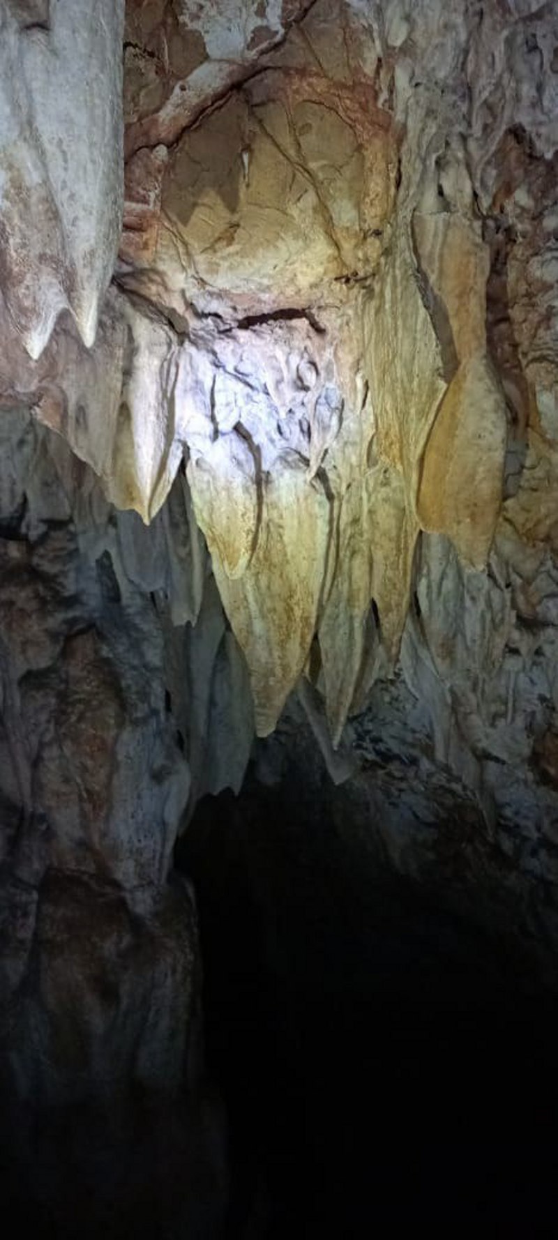 देवसरा का खुबसूरत दतराम गुफा, देश का एकलौता ऐसा गुफा जो चोटी से जमीन के अंदर तक सीधा नीचे
