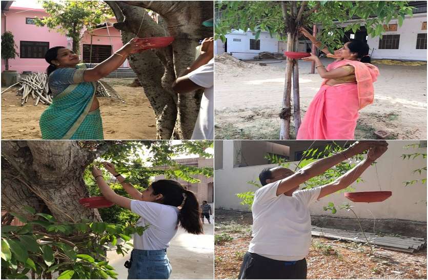 पत्रिका पक्षी मित्र अभियान: पापड़ वाले हनुमानजी मंदिर में परिंडे लगाकर लिया पक्षी मित्र बनने का संकल्प