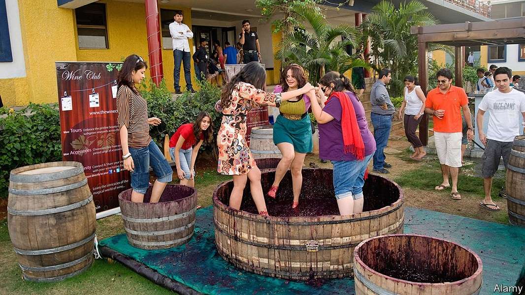 कोरोना के बाद देसी- विदेशी पर्यटकों की जुबान पर वाइन टूरिज्म