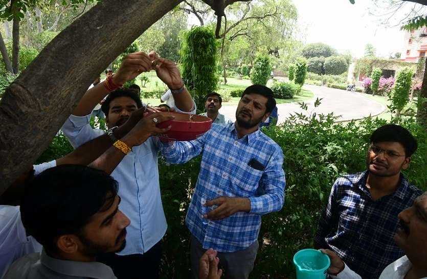 पत्रिका पक्षी मित्र अभियान: RU में कुलपति ने पक्षियों के लिए लगाए परिंडे, बोले- पत्रिका का ये बीड़ा बहुत सराहनीय