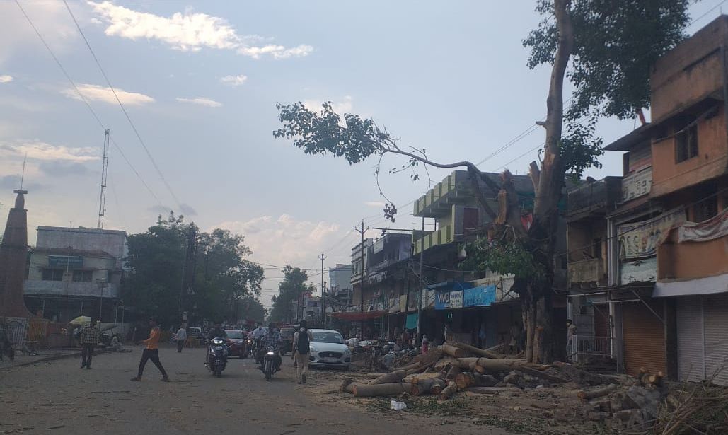 बरसी आग तो याद आई पीपल के पेड़ की