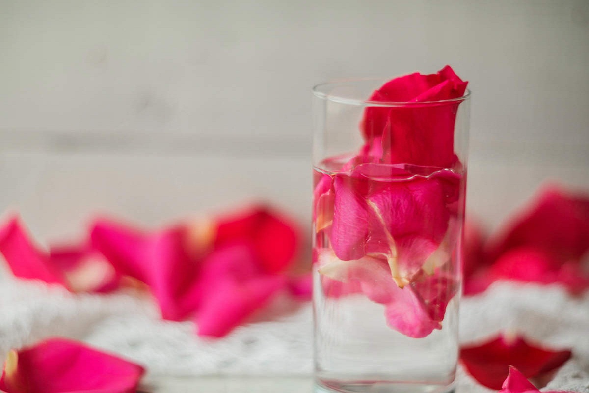 Rose Water Benefits: जानिए गुलाब जल के जबरदस्त फायदे के बारे में, त्वचा को मुलायम रखने में करता है मदद
