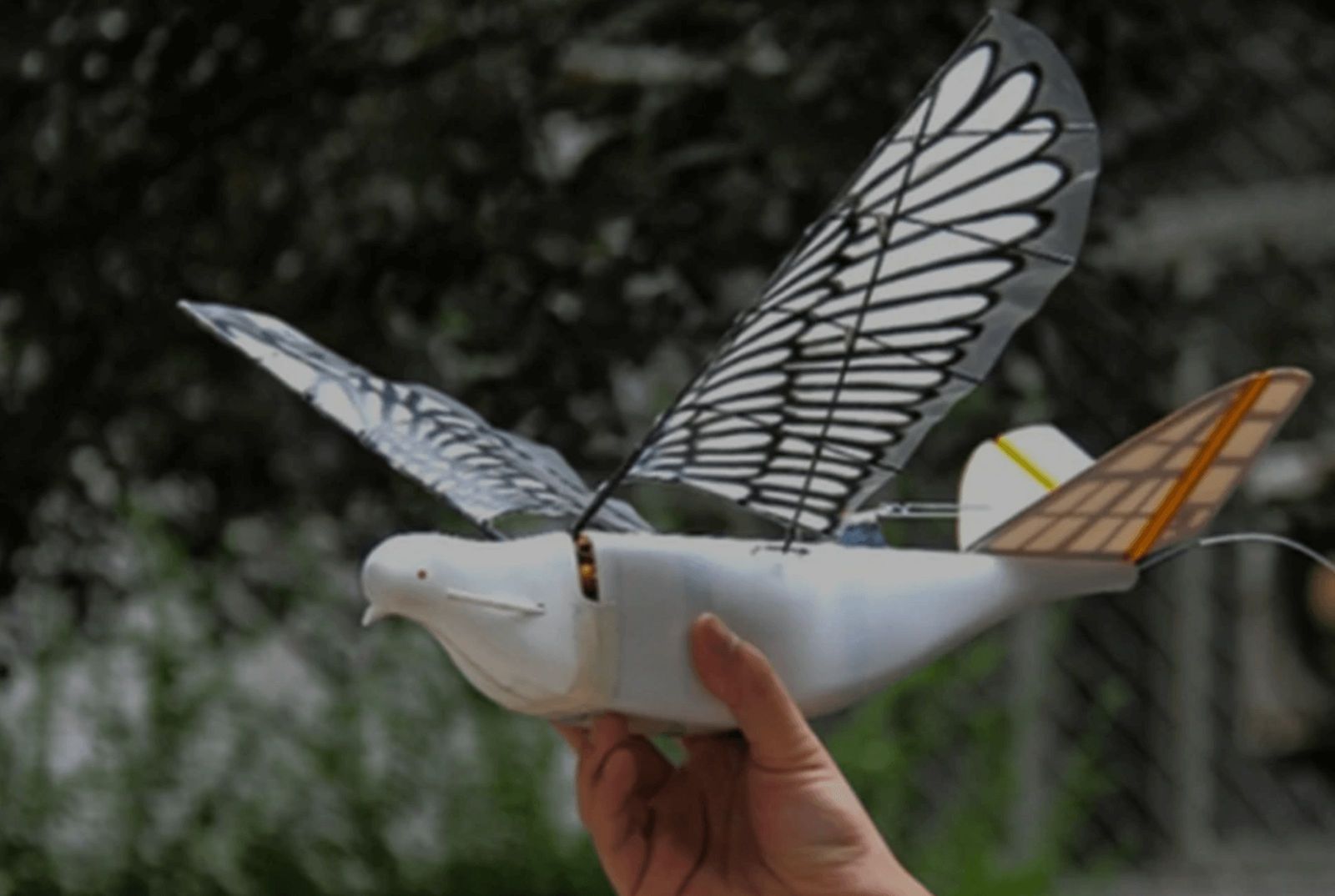 आईआईटी ने बनाया उरी मूवी में सर्जिकल स्ट्राइक में दिखाया गरुड़ ड्रोन