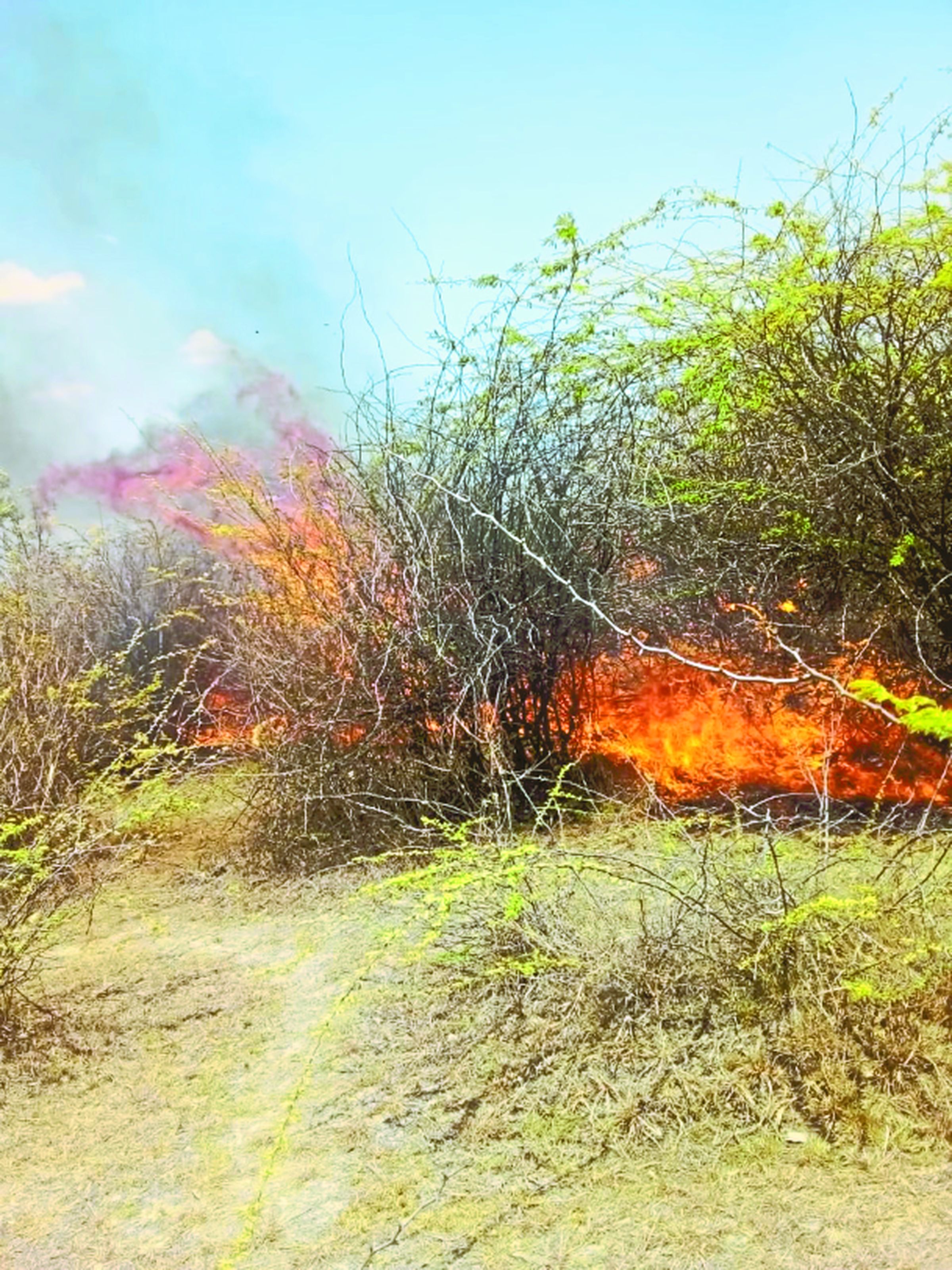 The fire spread in such a way that the senses were blown away