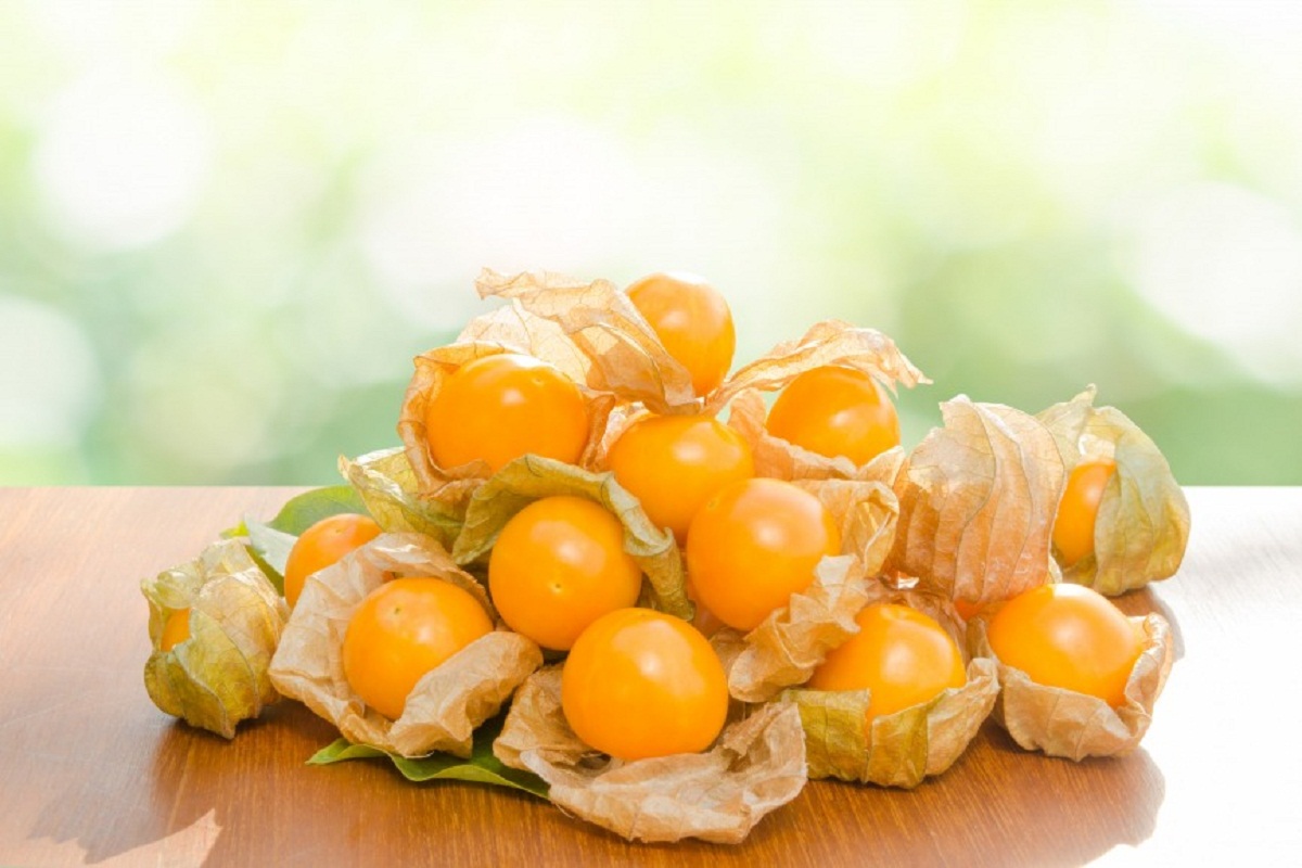Golden Berry Benefits: जानिए रसभरी फल खाने से मिलते हैं ये अद्भुत फायदे, कई बीमारियों को दूर करने में होता है मददगार